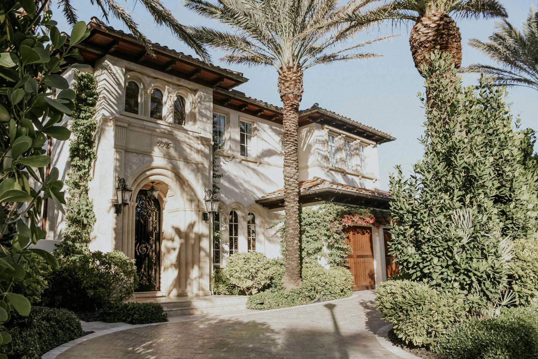 Mediterranean style entry door framed by palms