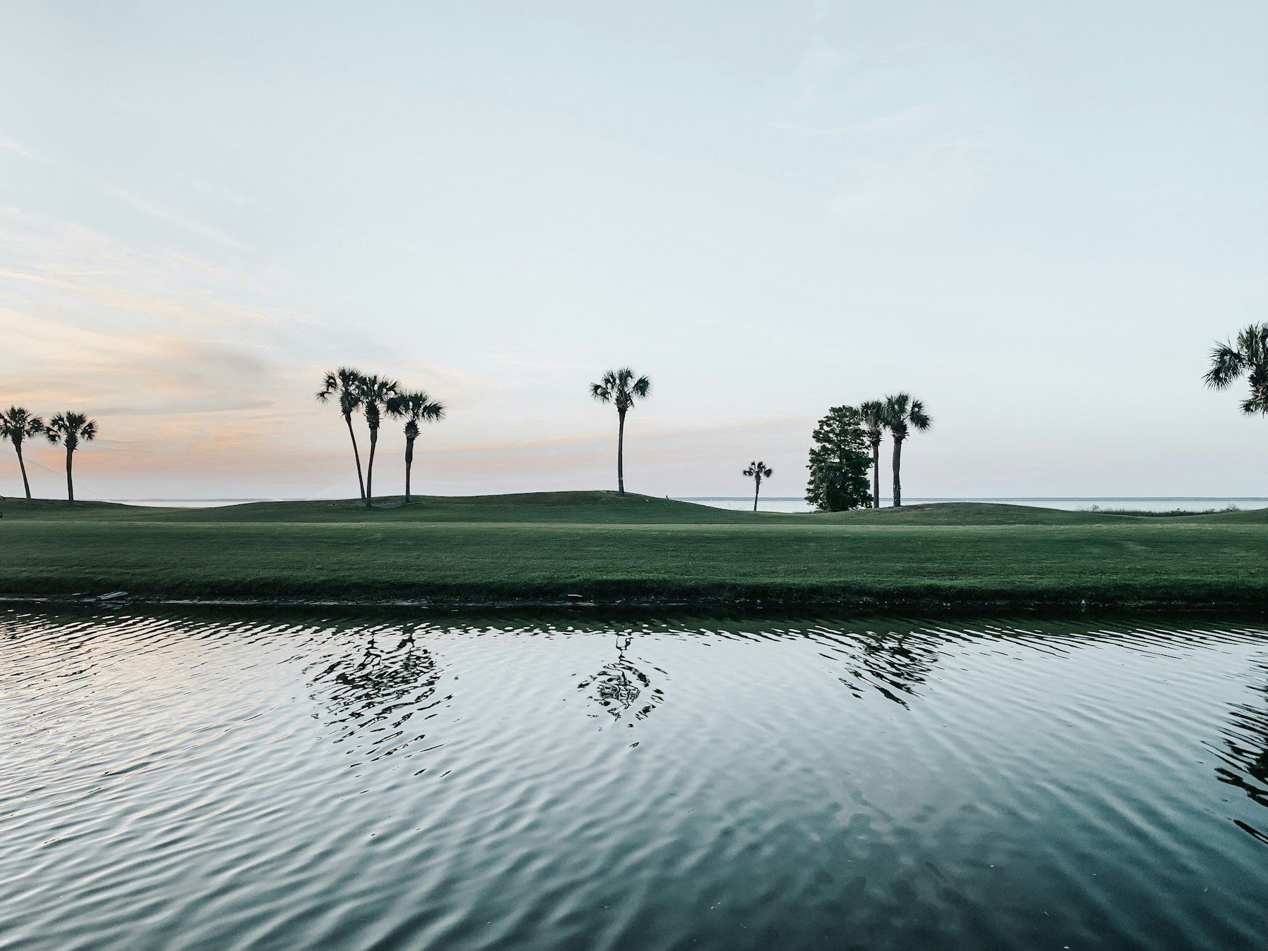 Calm golf course lake lined with palms