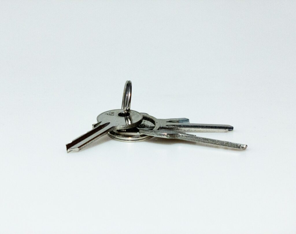 Set of house keys
