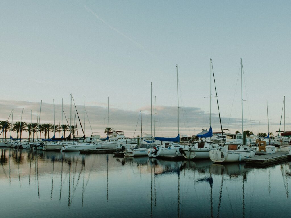 Sailboats in a calm marina at first light