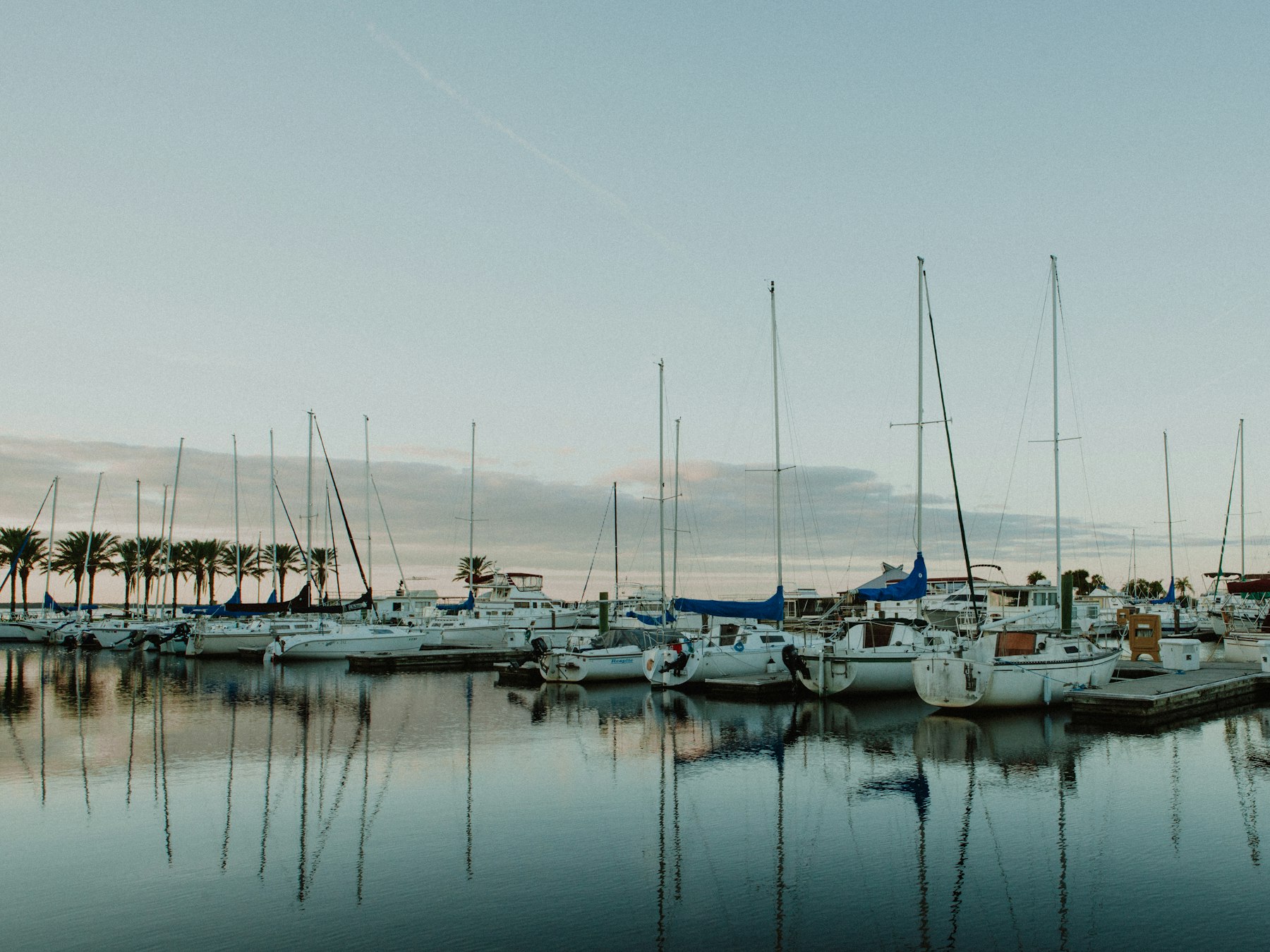 Sailboats in a calm marina at first light