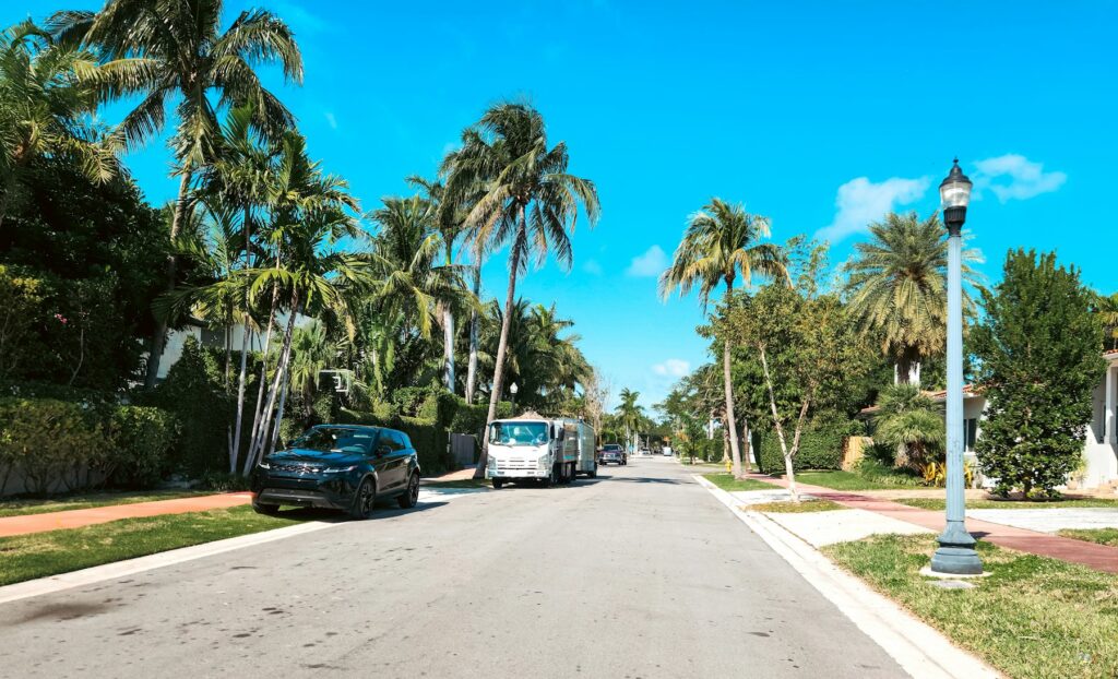 Palm lined residential road