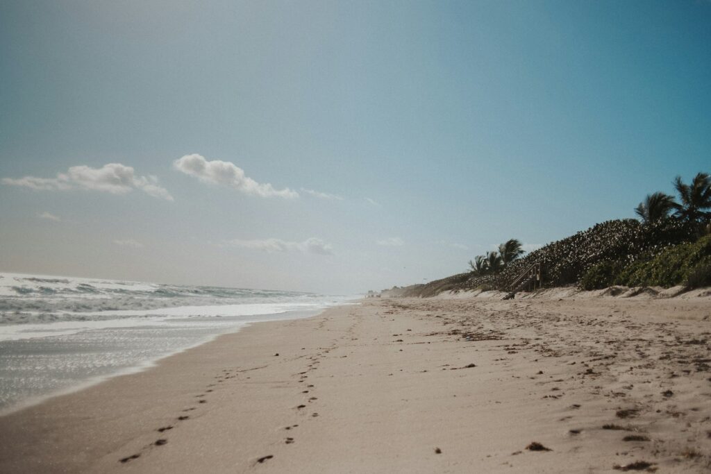 Atlantic beach with dunes and sea grape